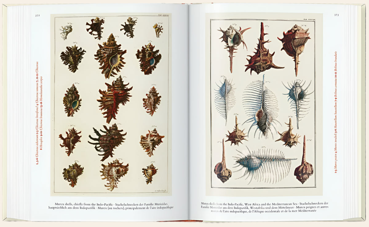 TASCHEN Cabinet of Natural Curiousities