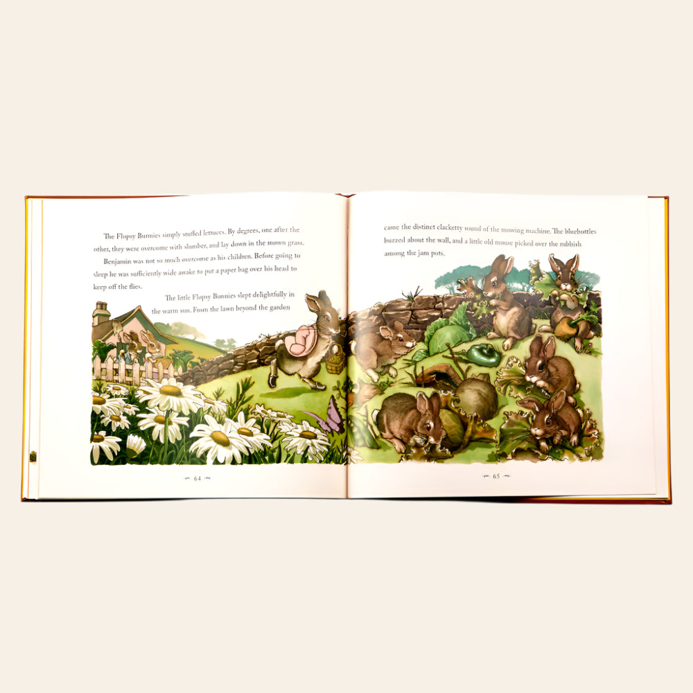GRAPHIC IMAGE Peter Rabbit Leather Bound Book