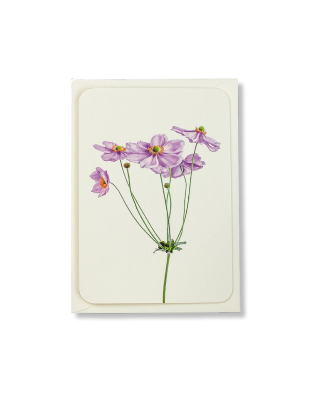 CANONBURY PRESS Anemone Greeting Card