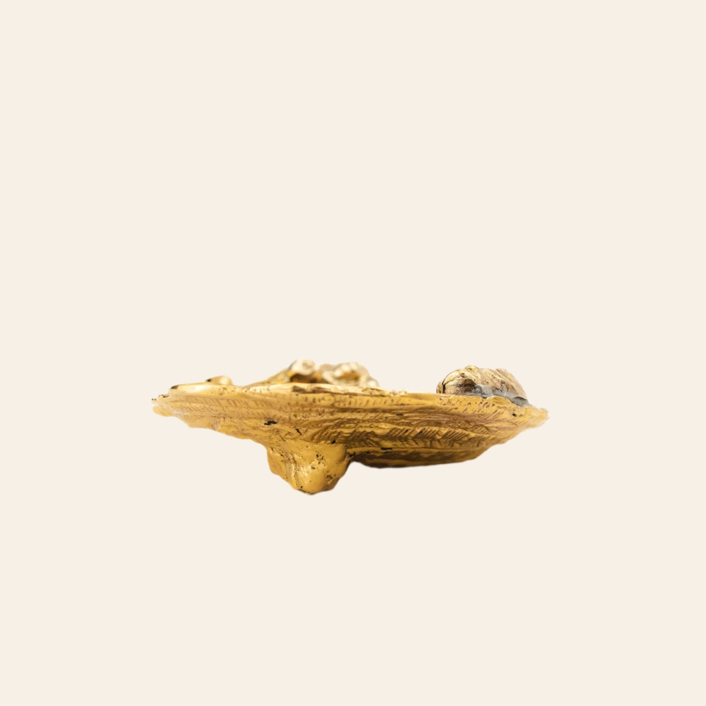 SHELTON METAL Barnacle Salt Dish