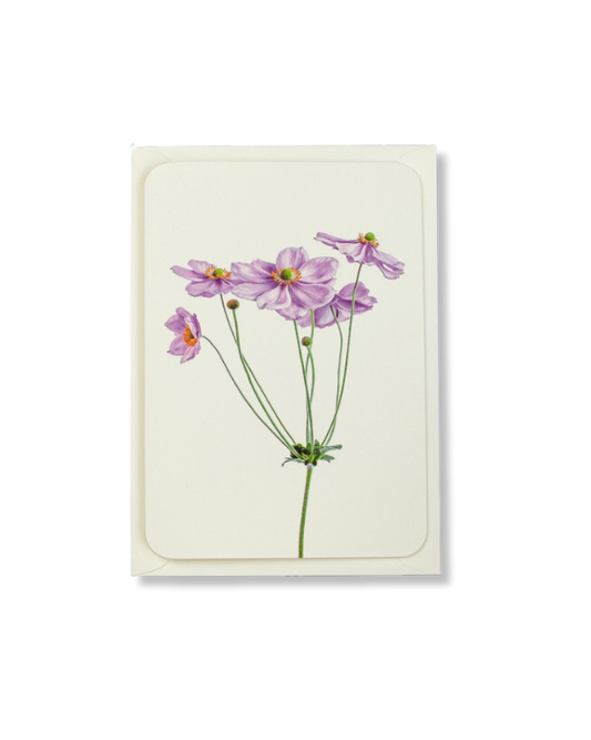 CANONBURY PRESS Anemone Greeting Card