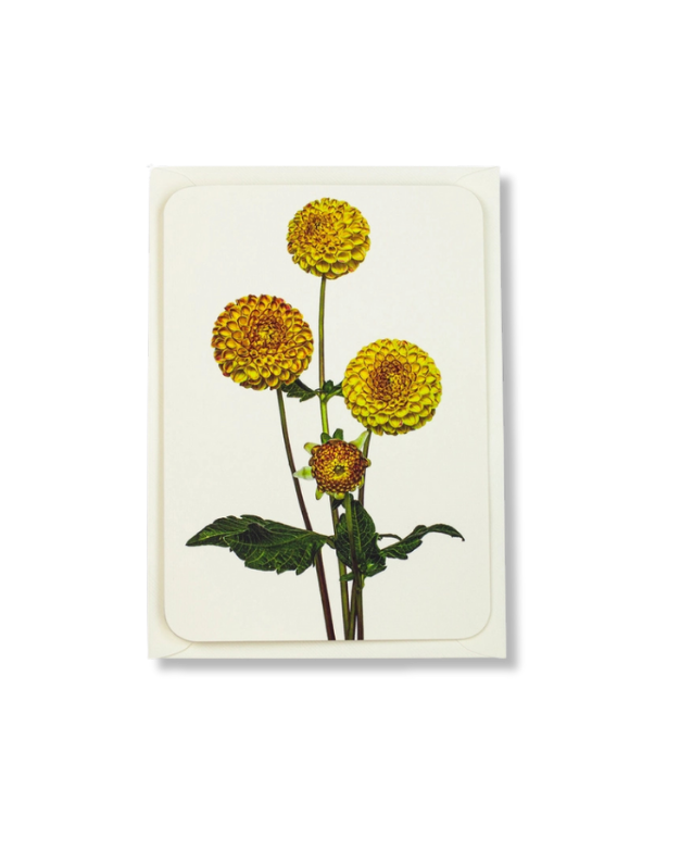 CANONBURY PRESS Dahlia Greeting Card