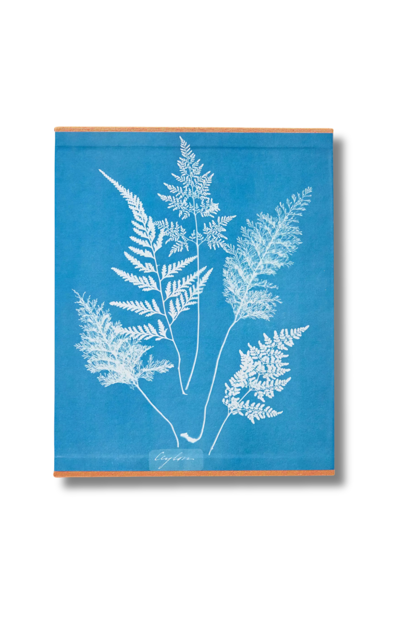 TASCHEN Cyanotypes
