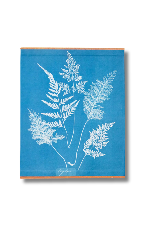 TASCHEN Cyanotypes