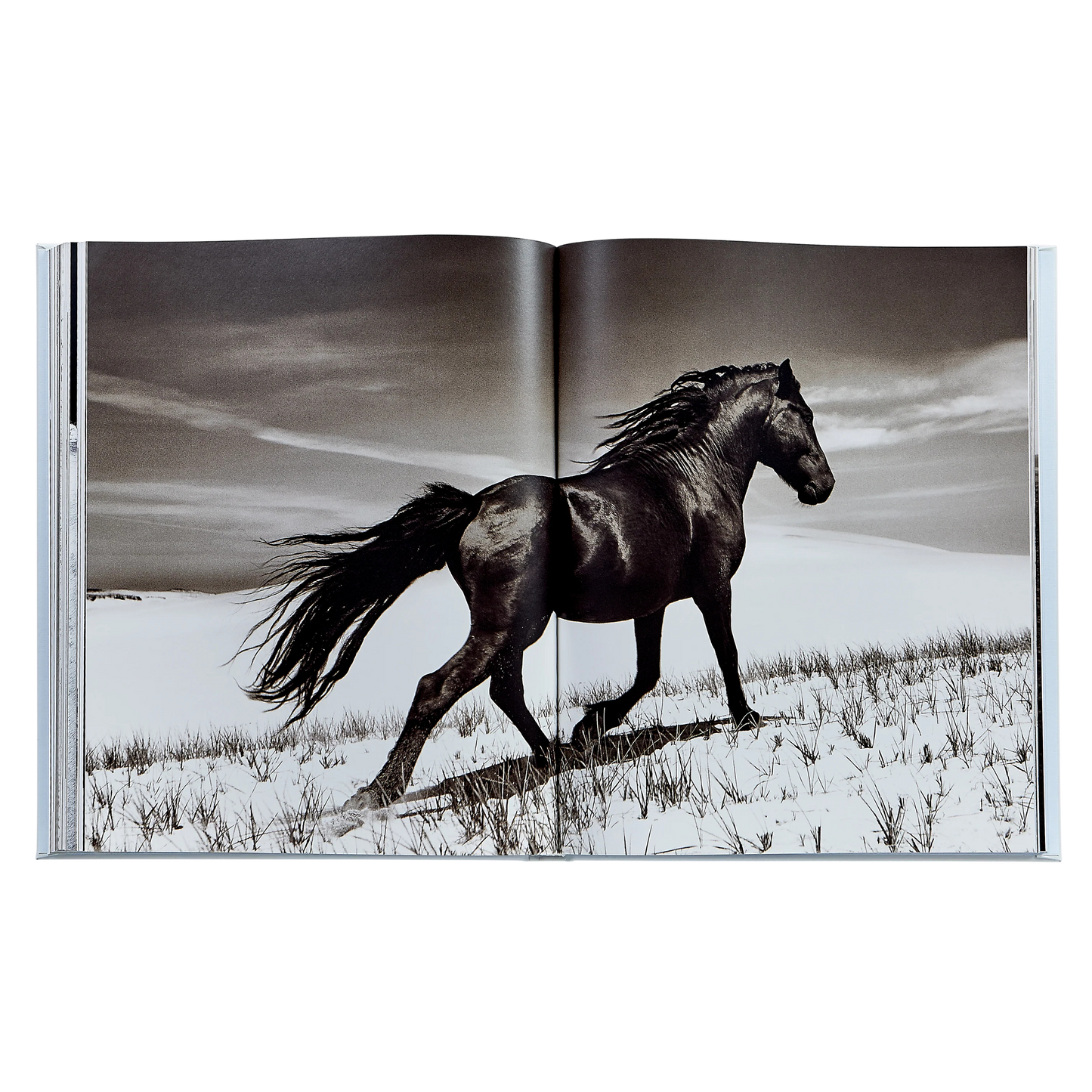 GRAPHIC IMAGE Untamed Spirits