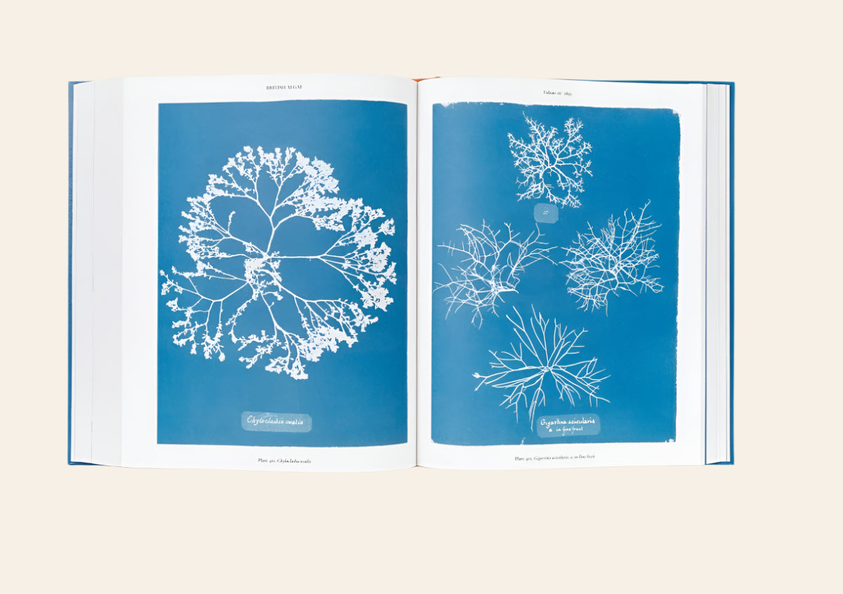 TASCHEN Cyanotypes